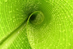世界体能恢复公益课堂走进偏远社区：服务覆盖扩大