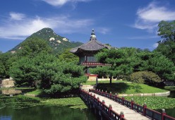 2026年世界桥牌团体赛闭幕 中国混合队闯入决赛创历史，世界桥牌跨国混合团体赛
